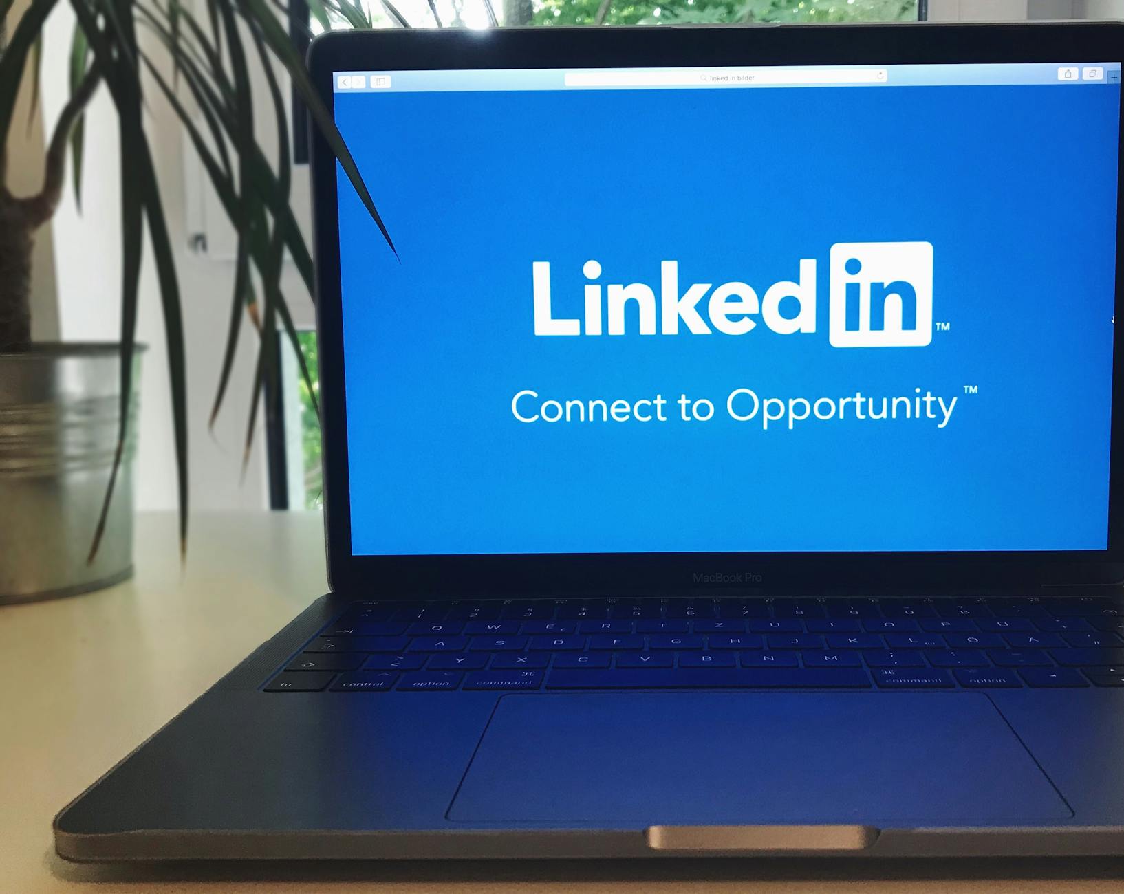 Découvrez les meilleurs formats de contenus sur LinkedIn pour booster votre visibilité !